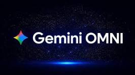 Omni Flash 